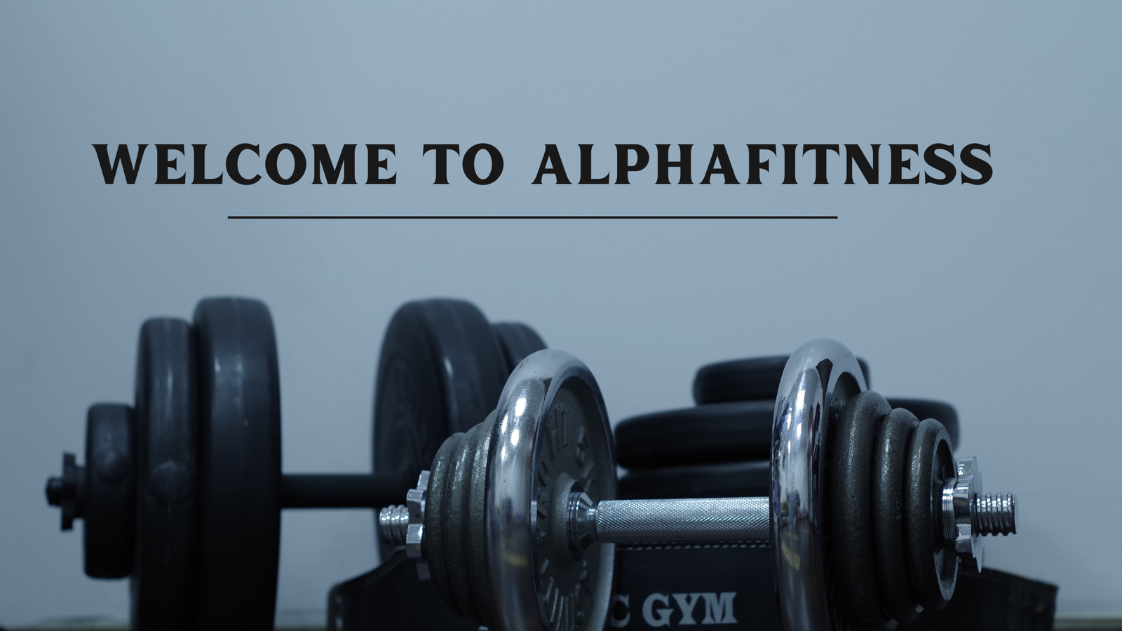 alphafitness